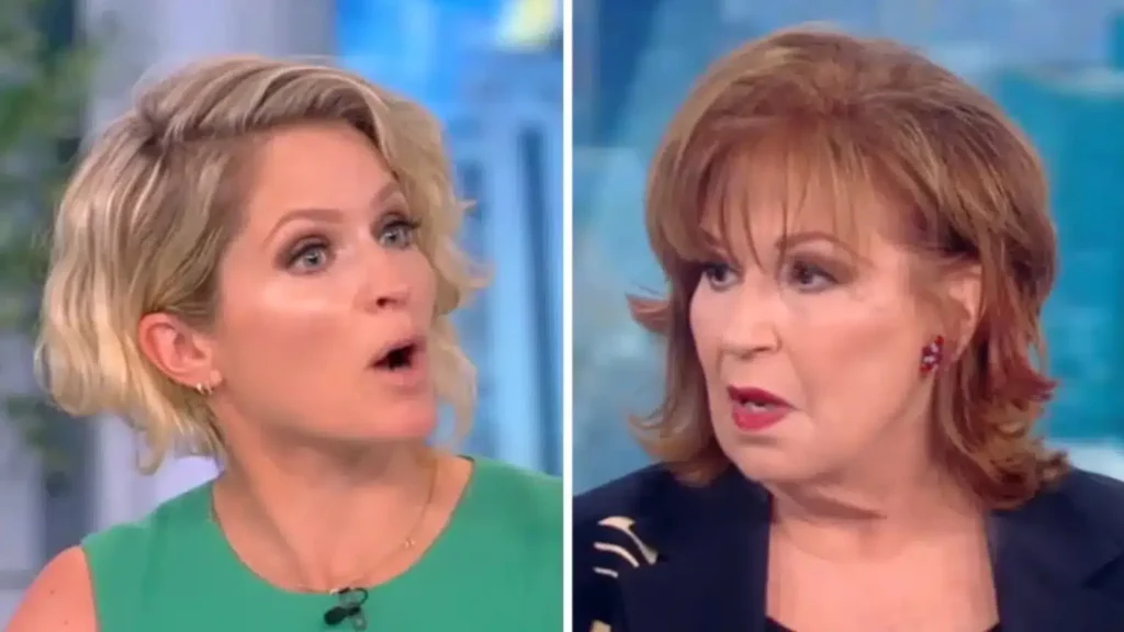 ‘The View’ Controversy, You’ll Be INFURIATED By What They Said DC Alert